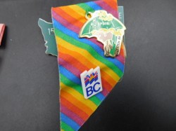 barbie convention rainbow